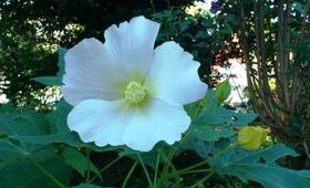 DSC_0140 - コピー.jpg